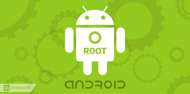 ROOT-2.jpg