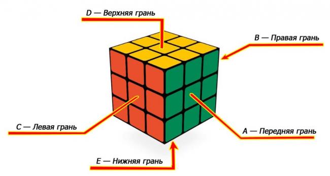 14-1024x548.jpg