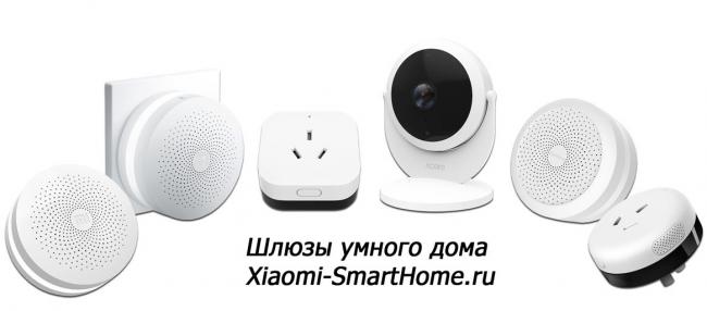SHlyuzy-Xiaomi.jpg
