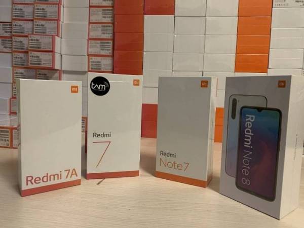 smart-13.jpg